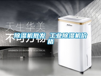 常見問題除濕機批發 工業除濕機價格