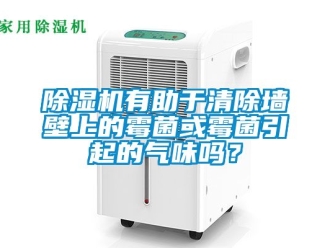 行業新聞除濕機有助于清除墻壁上的霉菌或霉菌引起的氣味嗎？