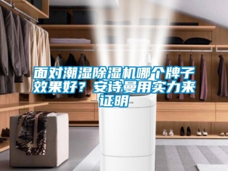 行業新聞面對潮濕除濕機哪個牌子效果好？安詩曼用實力來證明