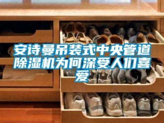 企業新聞安詩曼吊裝式中央管道除濕機為何深受人們喜愛