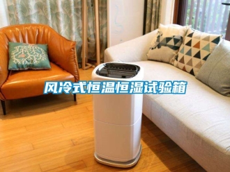 知識百科風(fēng)冷式恒溫恒濕試驗箱