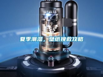 知識百科夏季潮濕，壁紙挽救攻略
