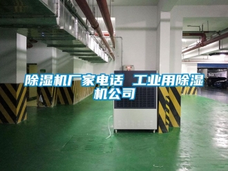 企業新聞除濕機廠家電話 工業用除濕機公司