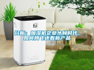 常見問題分析：加濕機(jī)企業(yè)叢林時代，如何騰飛還看新產(chǎn)品