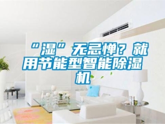 常見問題“濕”無忌憚？就用節能型智能除濕機