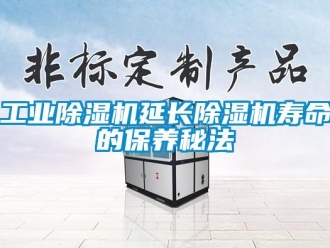 企業(yè)新聞工業(yè)除濕機(jī)延長除濕機(jī)壽命的保養(yǎng)秘法