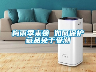 常見問題梅雨季來襲 如何保護藏品免于受潮