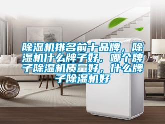 企業新聞除濕機排名前十品牌，除濕機什么牌子好，哪個牌子除濕機質量好，什么牌子除濕機好