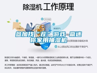 企業新聞參加找“茬”游戲 贏迷你家用抽濕機