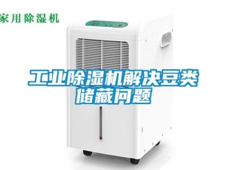 常見問題工業除濕機解決豆類儲藏問題