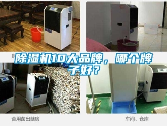 企業新聞除濕機10大品牌，哪個牌子好？