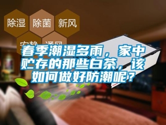 常見問題春季潮濕多雨，家中貯存的那些白茶，該如何做好防潮呢？