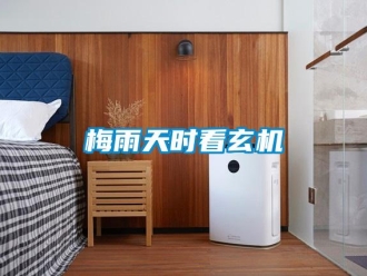 行業(yè)新聞梅雨天時看玄機