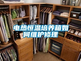 知識百科電熱恒溫培養箱如何維護修理