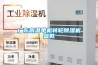 廣東高溫單機(jī)轉(zhuǎn)輪除濕機(jī)參數(shù)