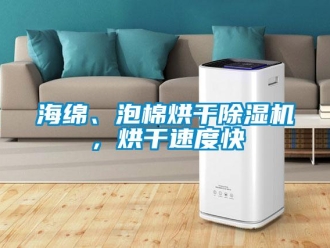 行業新聞海綿、泡棉烘干除濕機，烘干速度快