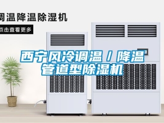 行業(yè)新聞西寧風(fēng)冷調(diào)溫／降溫管道型除濕機(jī)