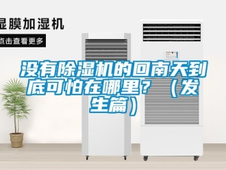 行業(yè)新聞沒有除濕機(jī)的回南天到底可怕在哪里？（發(fā)生篇）