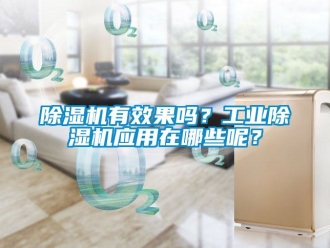 常見(jiàn)問(wèn)題除濕機(jī)有效果嗎？工業(yè)除濕機(jī)應(yīng)用在哪些呢？