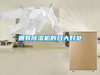 知識百科擁有除濕機的幾大好處