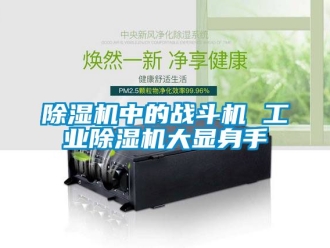 常見問題除濕機中的戰斗機 工業除濕機大顯身手