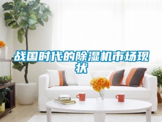 知識百科戰國時代的除濕機市場現狀