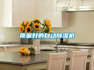 行業新聞質量好的自動除濕機
