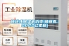 除濕機十大品牌排名，除濕機推薦，有哪些牌子？