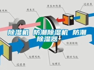 企業(yè)新聞除濕機(jī) 防潮除濕機(jī) 防潮除濕器