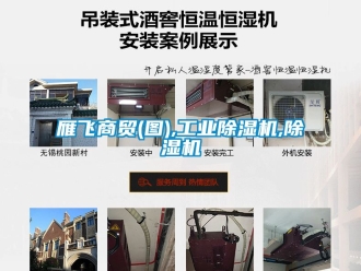 常見問題雁飛商貿(mào)(圖),工業(yè)除濕機(jī),除濕機(jī)