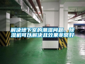常見問題解決地下室的潮濕問題，除濕機可以解決且效果非常好