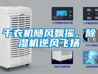 企業新聞干衣機隨風飄搖，除濕機逆風飛揚
