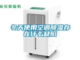 企業(yè)新聞冬天使用空調(diào)除濕存在什么缺陷
