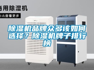 企業新聞除濕機品牌眾多該如何選擇？除濕機牌子排行榜