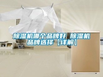 企業(yè)新聞除濕機(jī)哪個品牌好 除濕機(jī)品牌選擇【詳解】