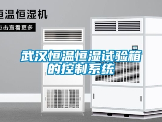 知識百科武漢恒溫恒濕試驗箱的控制系統