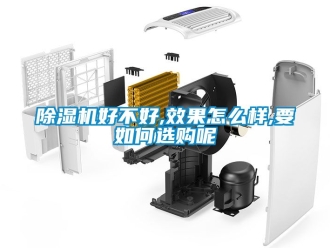 行業新聞除濕機好不好,效果怎么樣,要如何選購呢