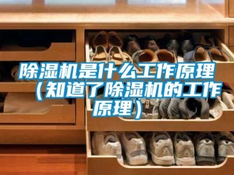 行業新聞除濕機是什么工作原理（知道了除濕機的工作原理）