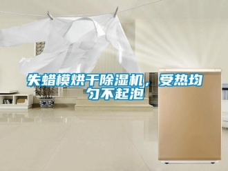 知識百科失蠟模烘干除濕機，受熱均勻不起泡