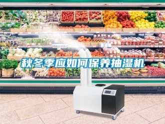 常見問題秋冬季應如何保養抽濕機
