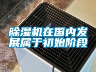 企業(yè)新聞除濕機(jī)在國(guó)內(nèi)發(fā)展屬于初始階段