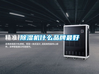 企業新聞除濕機什么品牌最好