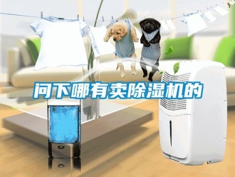 行業新聞問下哪有賣除濕機的