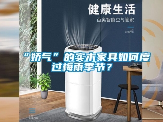 常見問題“嬌氣”的實木家具如何度過梅雨季節？