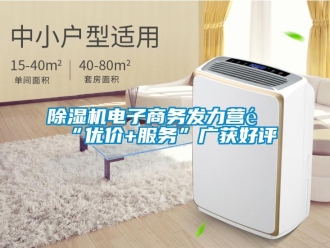 企業(yè)新聞除濕機電子商務發(fā)力營銷“優(yōu)價+服務”廣獲好評