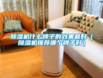 行業(yè)新聞除濕機(jī)什么牌子的效果最好（除濕機(jī)推薦哪個牌子好）