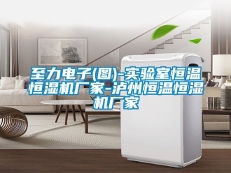 知識百科至力電子(圖)-實驗室恒溫恒濕機廠家-瀘州恒溫恒濕機廠家