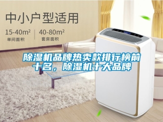 企業(yè)新聞除濕機品牌熱賣款排行榜前十名，除濕機十大品牌