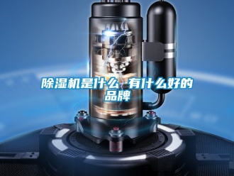 企業新聞除濕機是什么 有什么好的品牌