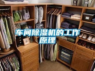 企業(yè)新聞車間除濕機的工作原理
